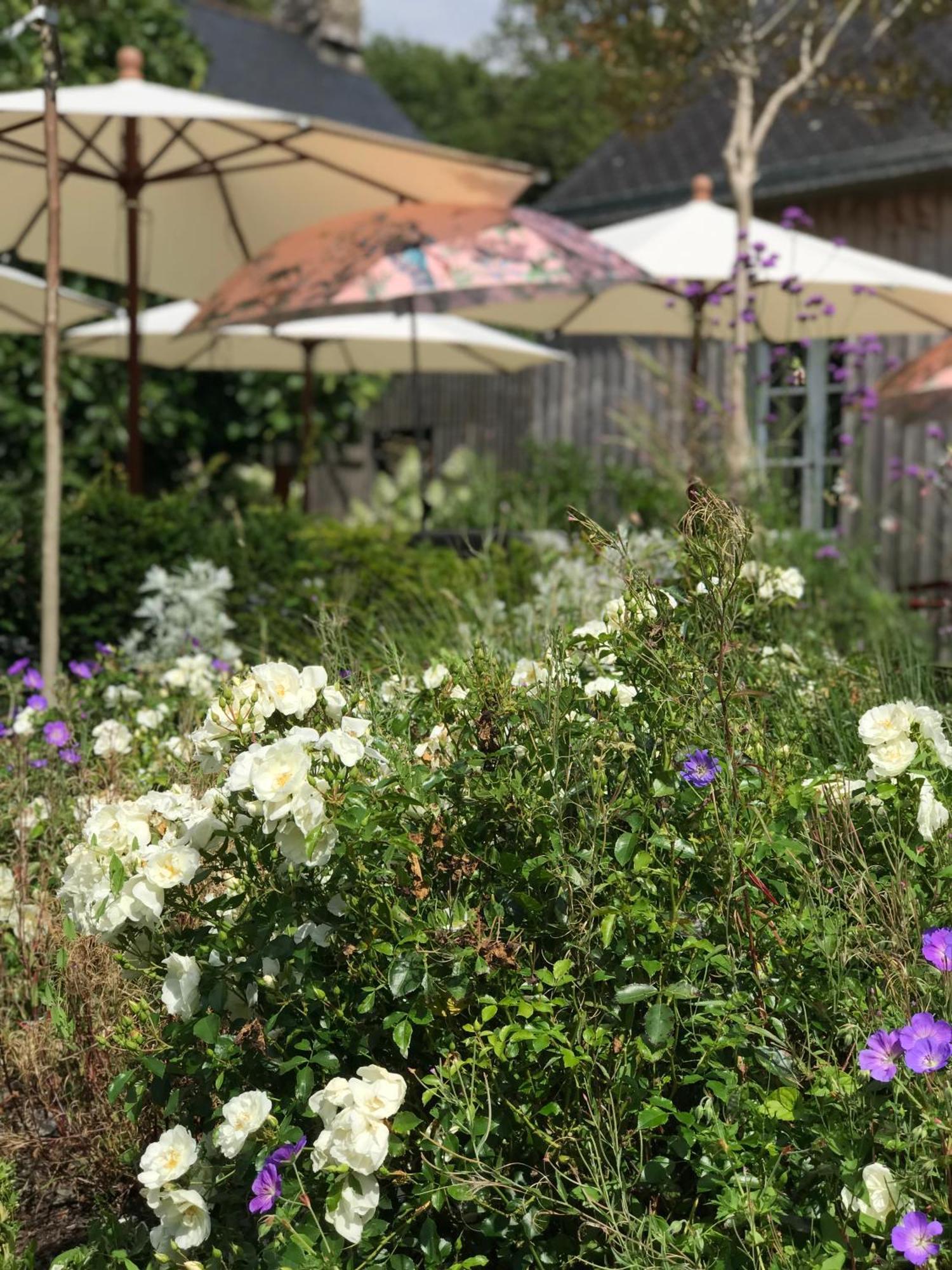 Manoir Saint-Andre,B&B De Charme 塞科斯 外观 照片