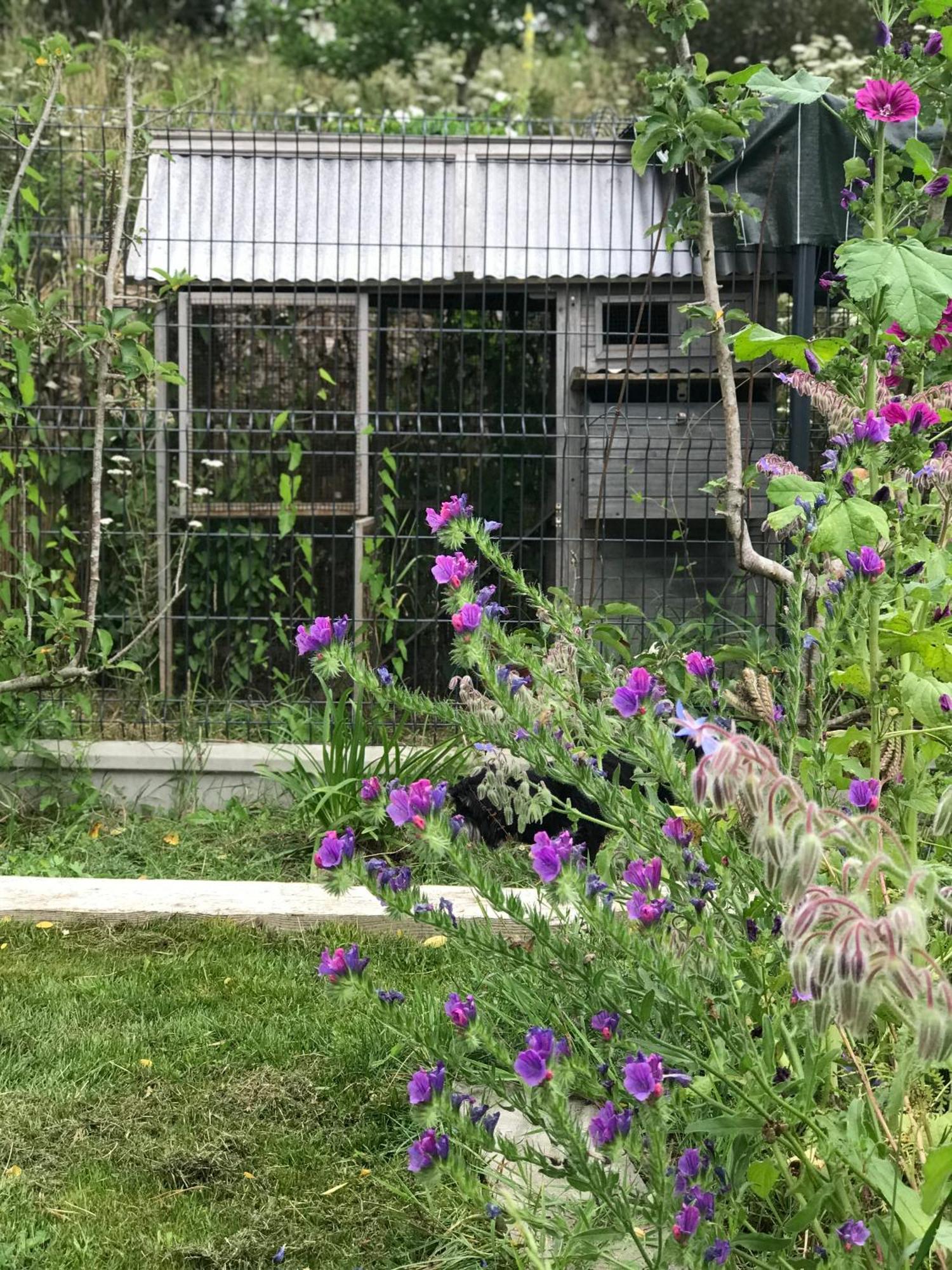 Manoir Saint-Andre,B&B De Charme 塞科斯 外观 照片